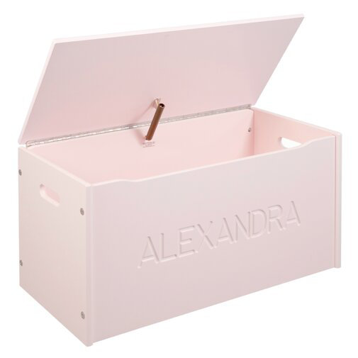 Pink and grey toy on sale box